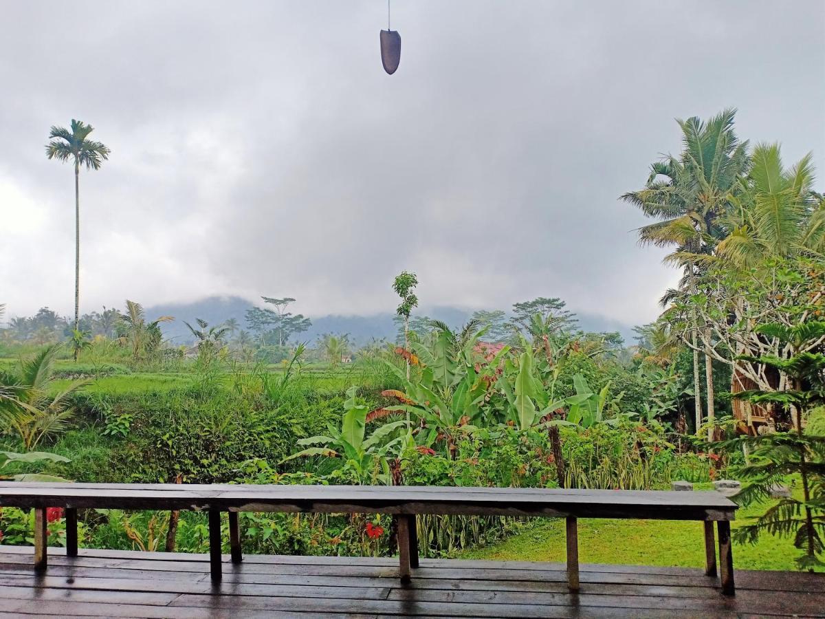 Jero Tumbuk Private Villa Selat Экстерьер фото