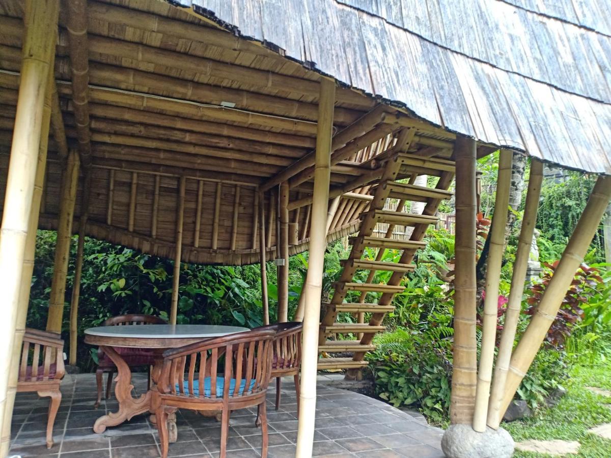 Jero Tumbuk Private Villa Selat Экстерьер фото