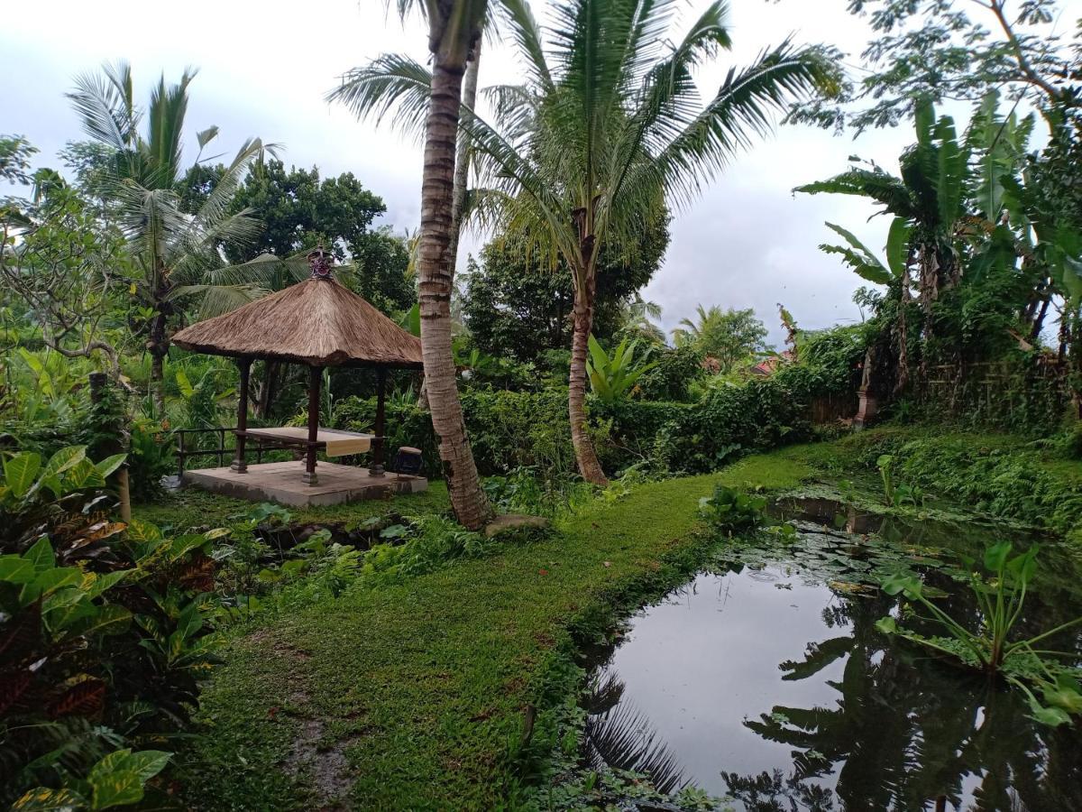 Jero Tumbuk Private Villa Selat Экстерьер фото