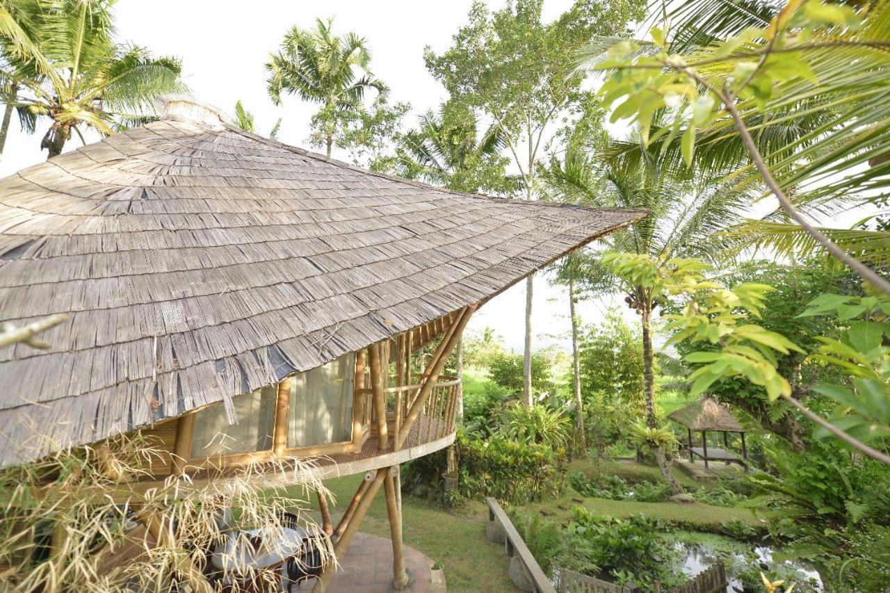 Jero Tumbuk Private Villa Selat Экстерьер фото