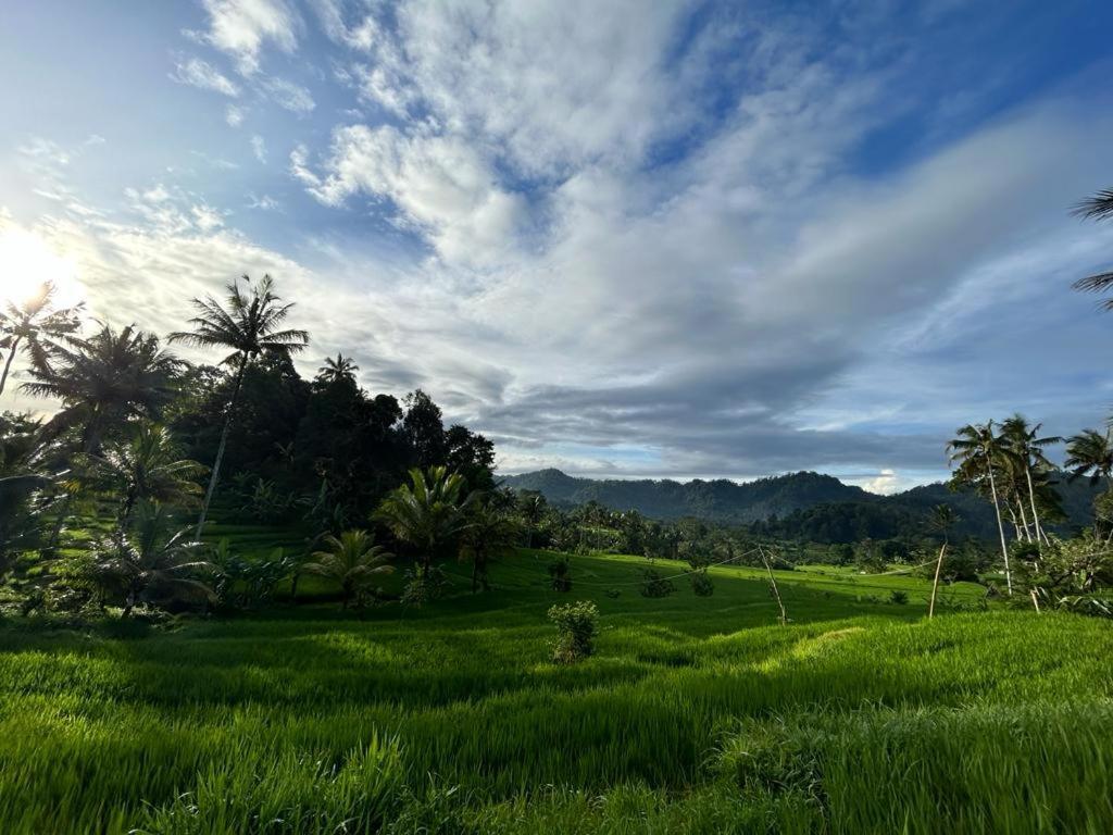 Jero Tumbuk Private Villa Selat Экстерьер фото