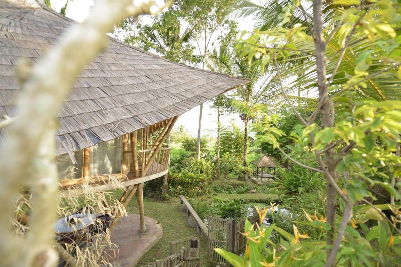 Jero Tumbuk Private Villa Selat Экстерьер фото