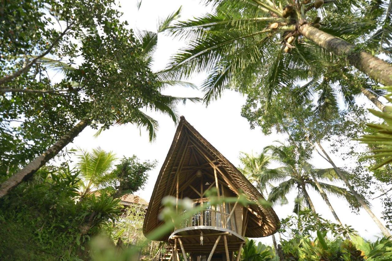 Jero Tumbuk Private Villa Selat Экстерьер фото