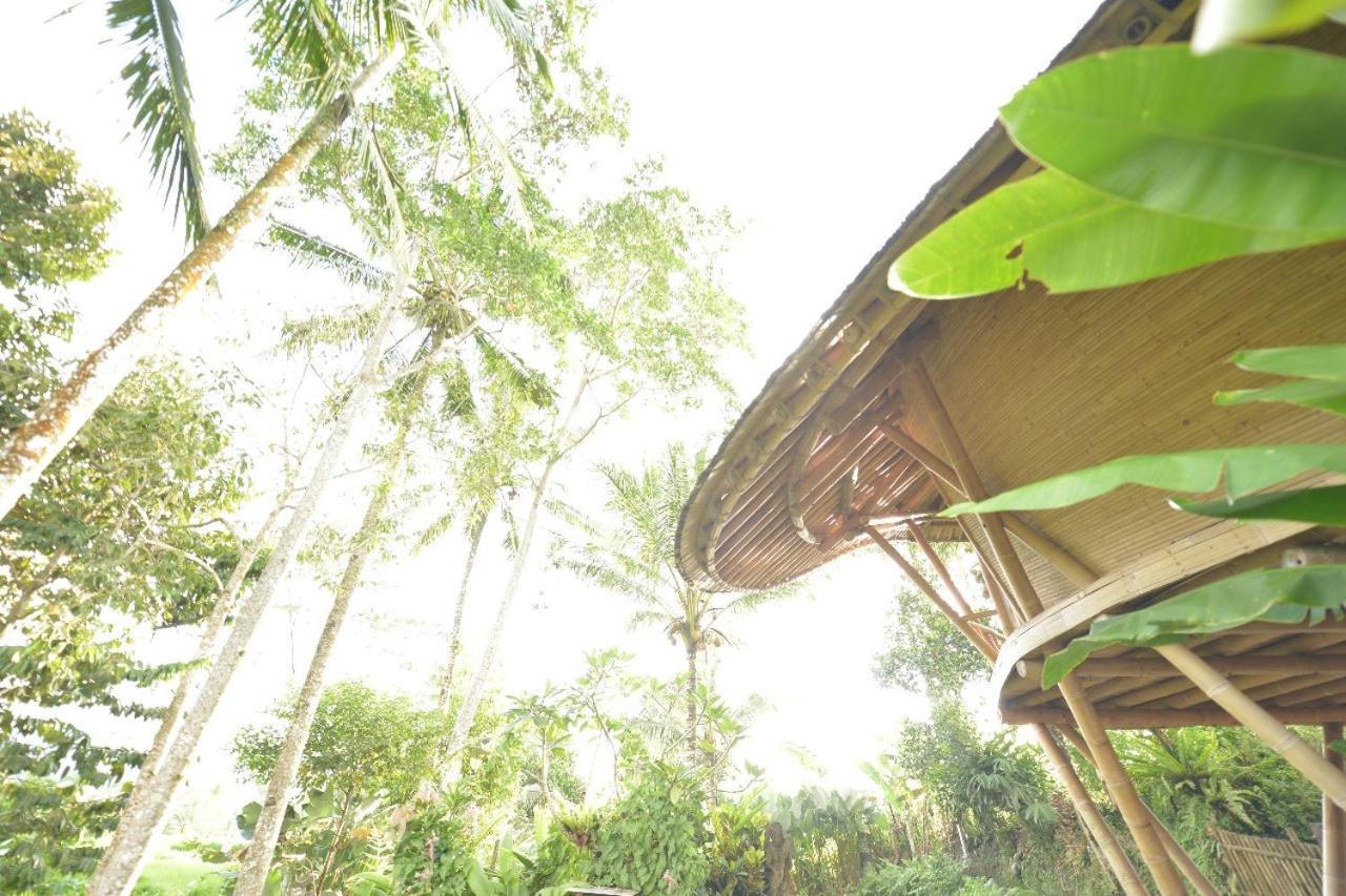 Jero Tumbuk Private Villa Selat Экстерьер фото