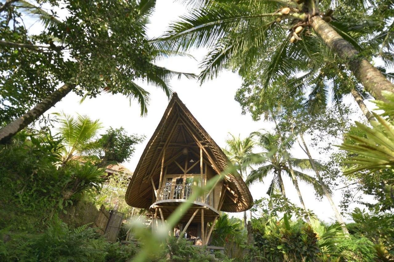 Jero Tumbuk Private Villa Selat Экстерьер фото
